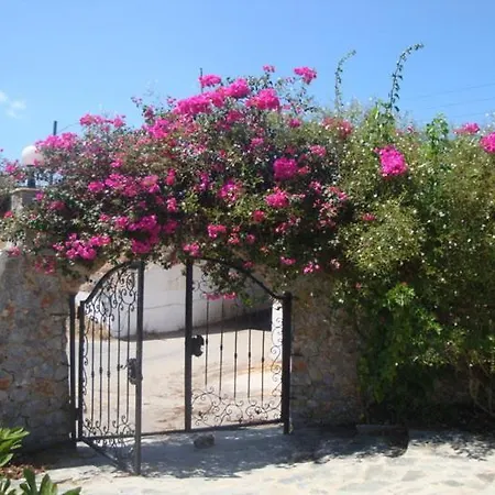 Eleftheria Hotell 3*