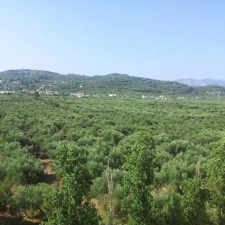 Eleftheria
